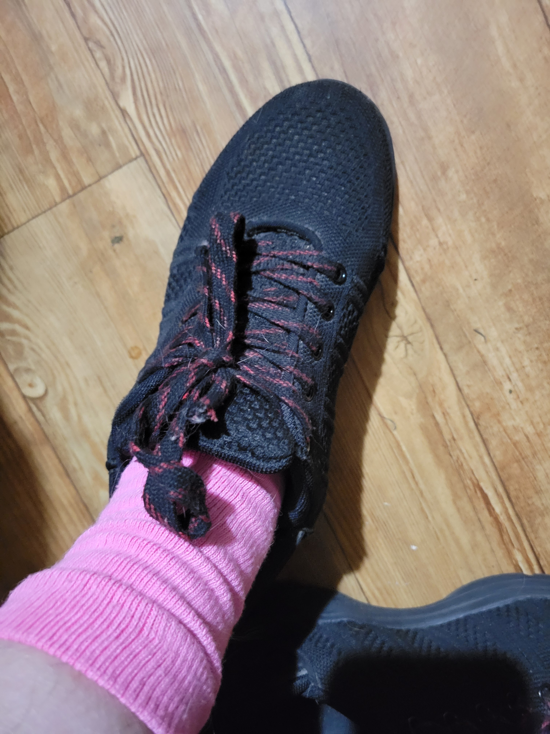 Black Zeba shoes with pink Pembrook socks